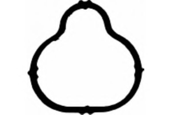 Прокладка впускного коллектора PAYEN JD5117