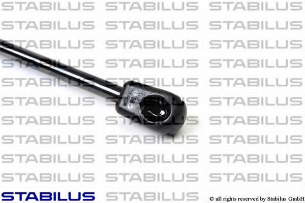 Амортизатор багажника RENAULT 904529943R Амортизатор багажника RENAULT 904529943R