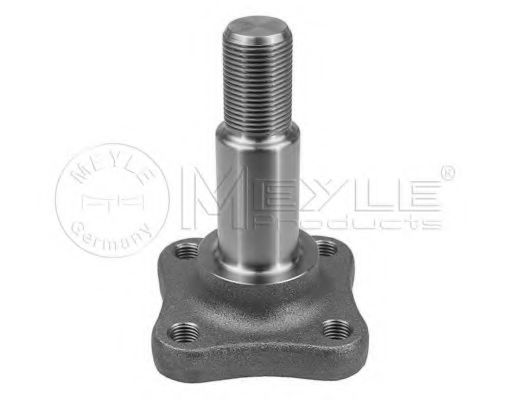 Поворотный кулак, подвеска колеса RENAULT 8200927687 Поворотный кулак, подвеска колеса RENAULT 8200927687