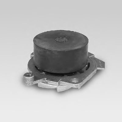 Водяной насос HEPU P1012