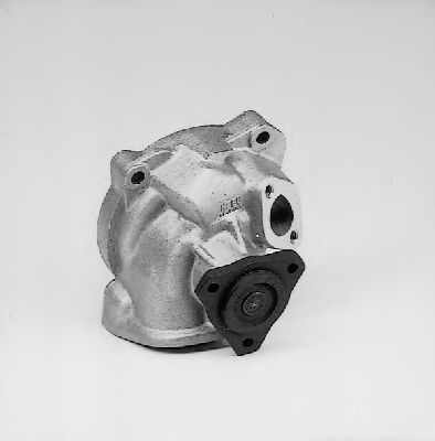 Водяной насос HEPU P531