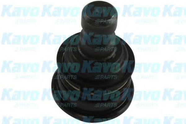  Hyundai/Kia 545302B000
