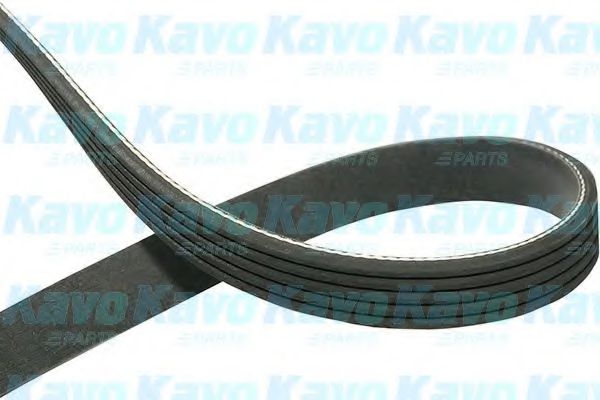  Hyundai/Kia 2521235050