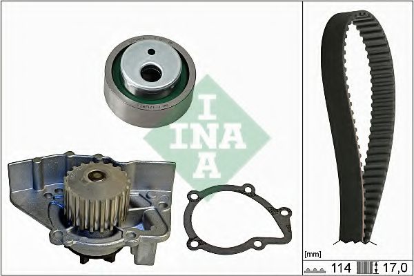 Комплект ГРМ с помпой INA 530 0258 30