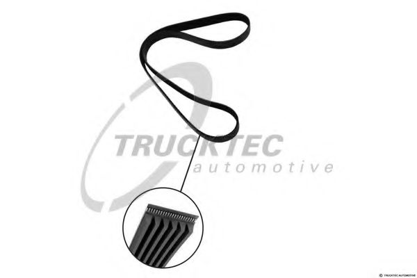 Поликлиновой ремень TRUCKTEC AUTOMOTIVE 02.19.304