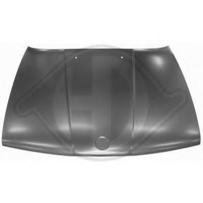 Капот BMW 41611944944