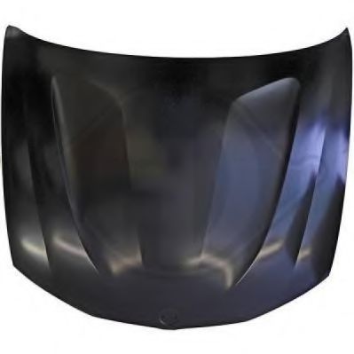 Капот DIEDERICHS 1276000