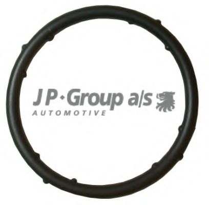 Прокладка, фланец охлаждающей жидкости JP GROUP 1119606300
