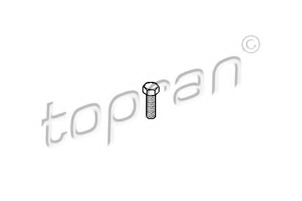 Болт TOPRAN 107 194