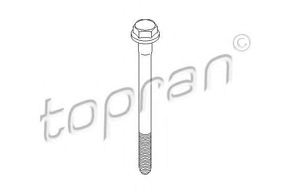 Болт TOPRAN 109 779