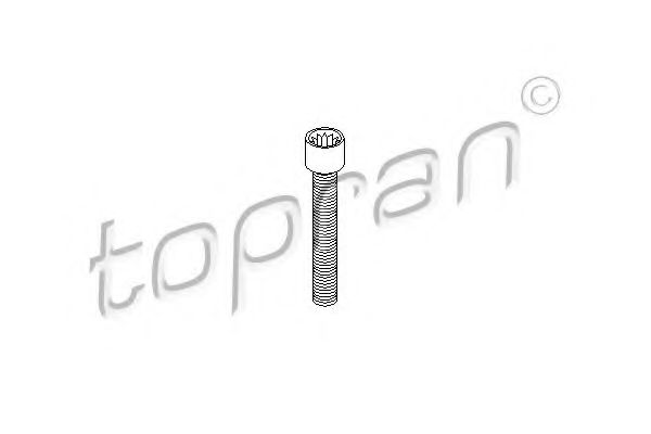Болт, фланец карданного вала TOPRAN 104 306