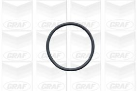 Водяной насос GRAF PA502A