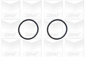 Водяной насос GRAF PA546