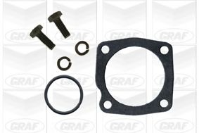 Водяной насос GRAF PA622