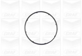 Водяной насос GRAF PA1083