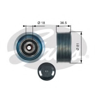 Обводной ролик GATES T36508