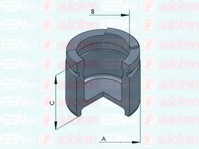 Поршень суппорта SEINSA D025458