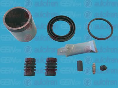 Ремкомплект тормозного суппорта SEINSA D42301C