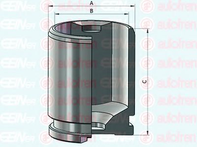 Поршень суппорта SEINSA D025594