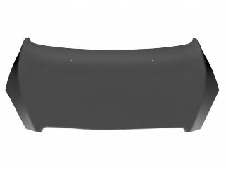 Капот VAN WEZEL 4040660