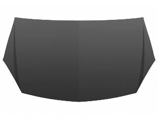 Капот VAN WEZEL 3745660