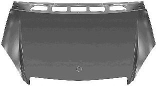 Капот VAN WEZEL 3017660