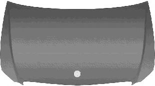 Капот VAN WEZEL 3080660