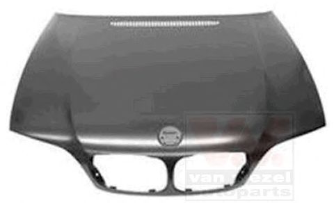 Капот VAN WEZEL 0653660