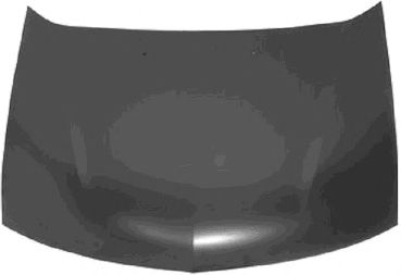 Капот VAN WEZEL 3295660