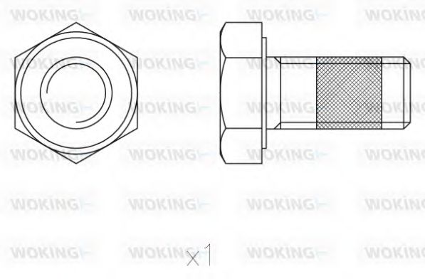Скобы тормозных колодок woking ACA8521.00