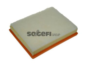 Воздушный фильтр PURFLUX A1350