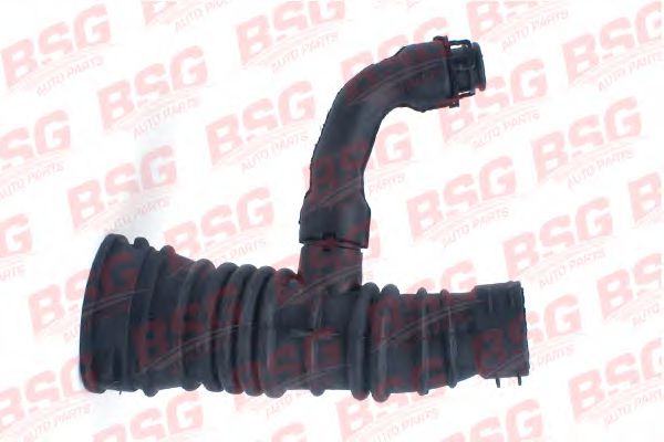 Шланг, система подачи воздуха BSG BSG 30-720-063