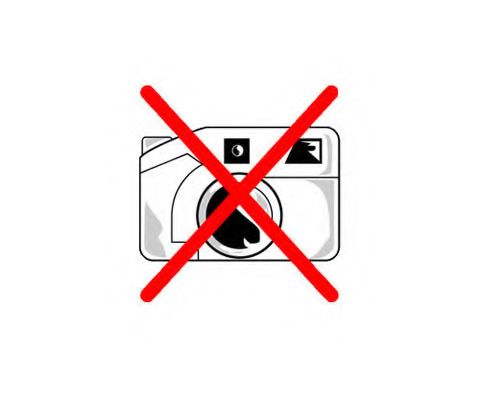 Шкив коленвала LAND ROVER 1341857