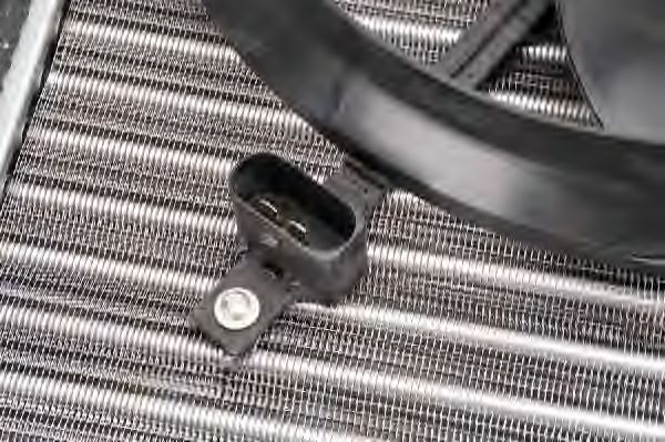 Радиатор охлаждения двигателя THERMOTEC D7S005TT