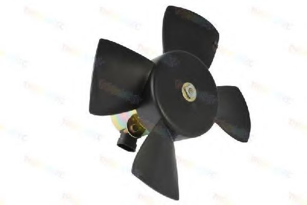 Вентилятор охлаждения двигателя THERMOTEC D8X001TT