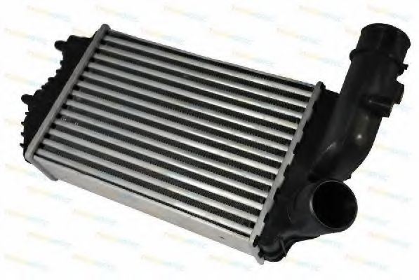 Интеркулер THERMOTEC DAF001TT