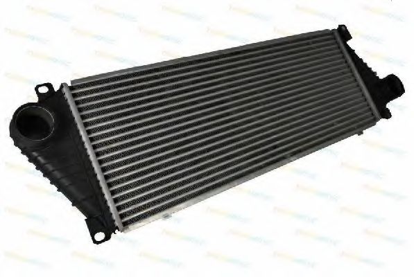 Интеркулер THERMOTEC DAM001TT