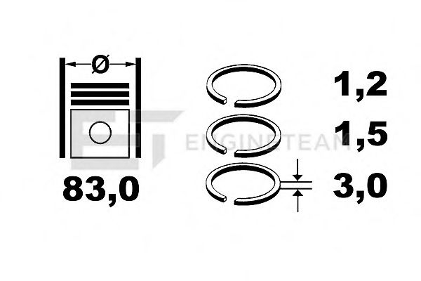 Комплект поршневых колец etengineteam R1007800