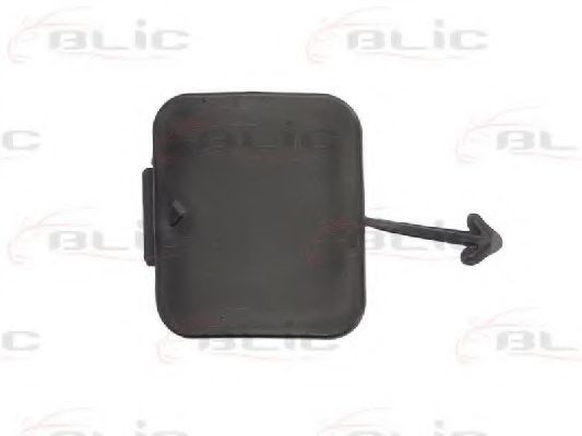 Колпачок, буксирный крюк BLIC 5513-00-0065975P