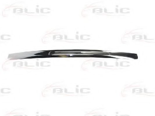 Облицовка / защитная накладка, облицовка радиатора BLIC 6502-07-2533993P