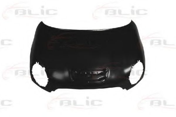 Капот BMW 41612754741