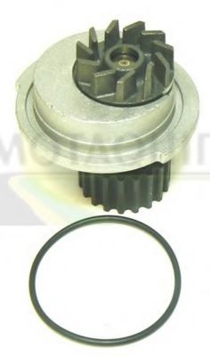 Водяной насос MOTAQUIP VWP756
