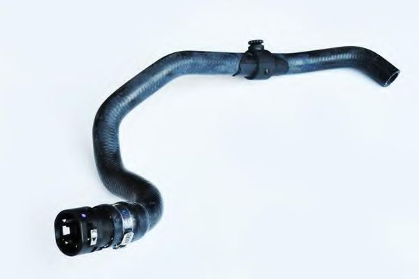  RENAULT 6001546556