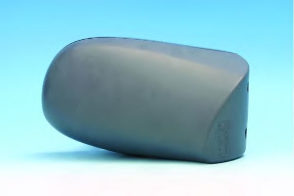 Корпус наружного зеркала RENAULT 6025170449