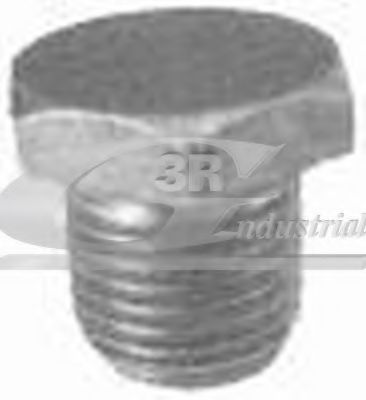 Пробка поддона 3RG 83011