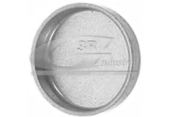 Пробка антифриза 3RG 84030