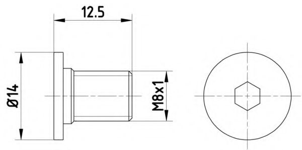Болт, диск тормозного механизма BEHR/HELLA 8DZ 355 209-021