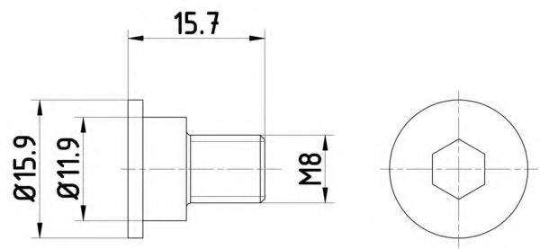 Болт, диск тормозного механизма BEHR/HELLA 8DZ 355 209-031