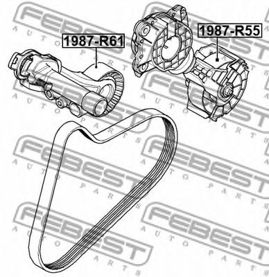 Ролик ремня генератора FEBEST 1987-R55 Ролик ремня генератора FEBEST 1987-R55