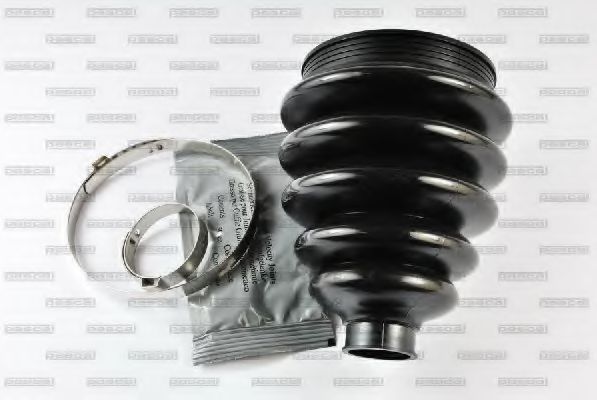 Комплект пыльника шруса PASCAL G5W026PC